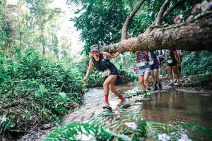 BIB: 
                            <button type="button" onclick="openModal(25458871)" class="btn btn-primary btn-sm float-right btn-popup" data-toggle="modal" data-target=".modal-high-quality">
                        <i class="fas fa-shopping-cart"></i> Add to Cart
                    </button>
                                            <button type="button" onclick="isThisMe(25458871, true)" class="btn btn-success btn-sm float-right btn-popup btn-isme hidden" data-toggle="tooltip" data-placement="bottom" title="นี่คือรูปของคุณใช่ไหม คลิกที่นี่เพื่อเอาเข้าอัลบั้ม">
                        <i class="fas fa-plus"></i> Add to album
                    </button>
                    <button type="button" onclick="isThisMe(25458871, false)" class="btn btn-warning btn-sm float-right btn-popup btn-isnotme hidden">
                        <i class="fas fa-ban"></i> Remove from album
                    </button>